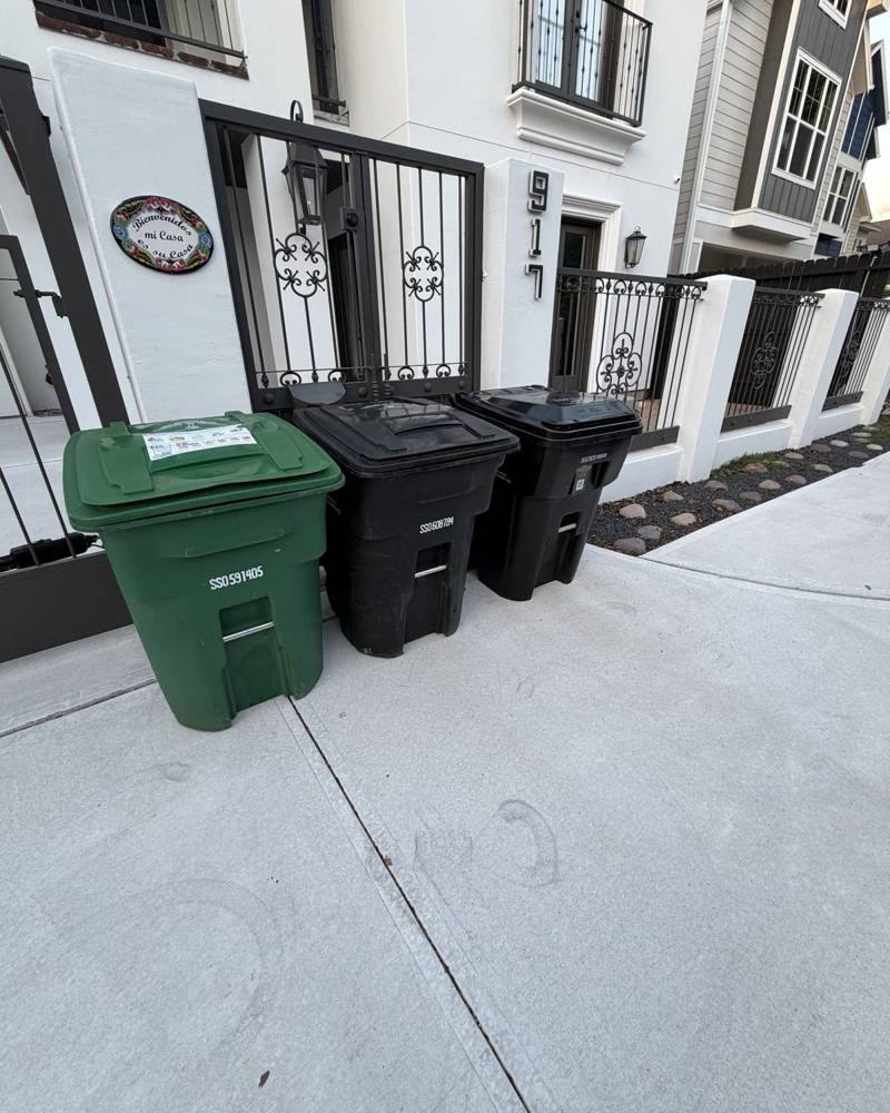 Three clean bins at the curb of a townhome
